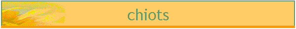 chiots